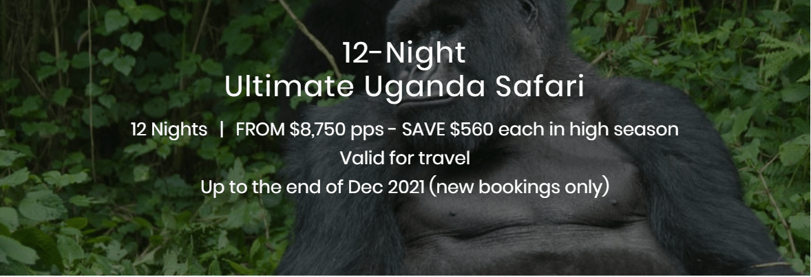 12 night ultimate Uganda safari