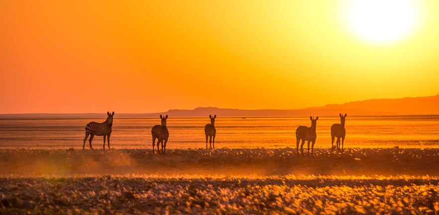 Namibia Safaris