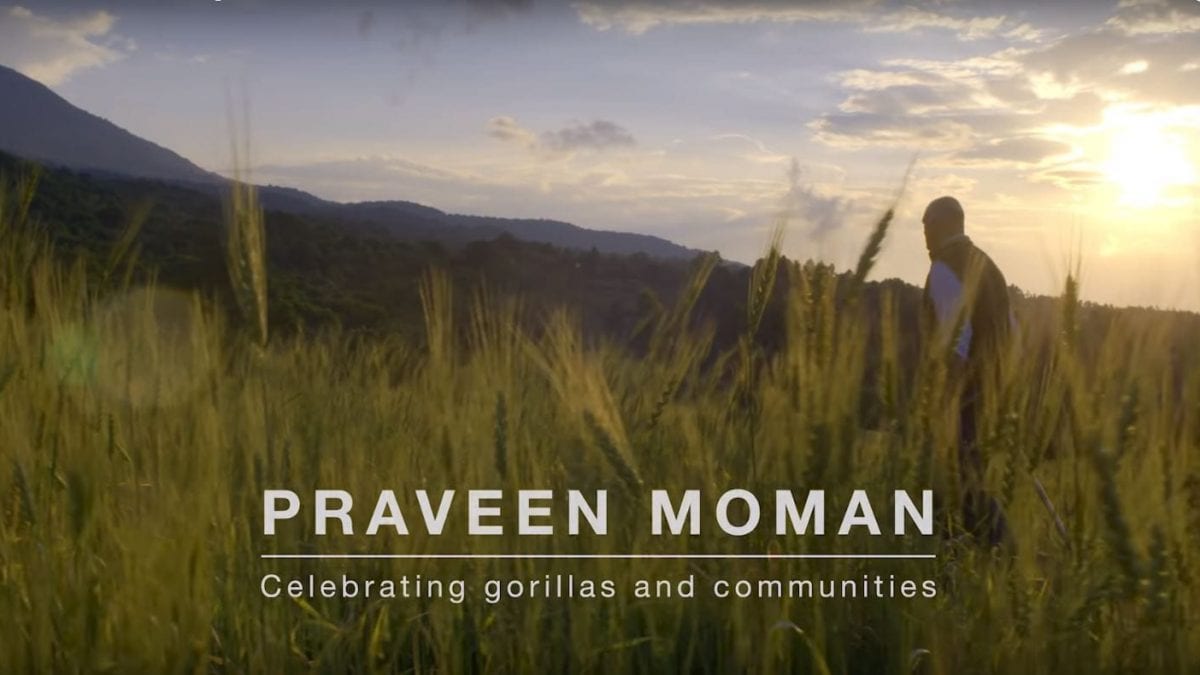 Celebrating Gorillas and the Communities of Rwanda