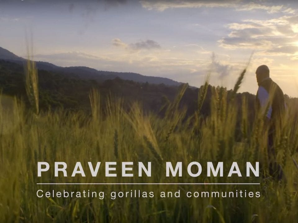 Celebrating Gorillas and the Communities of Rwanda