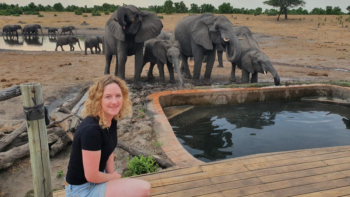 Elephants at Hwange National Park Zimbabwe with Amy Goldring