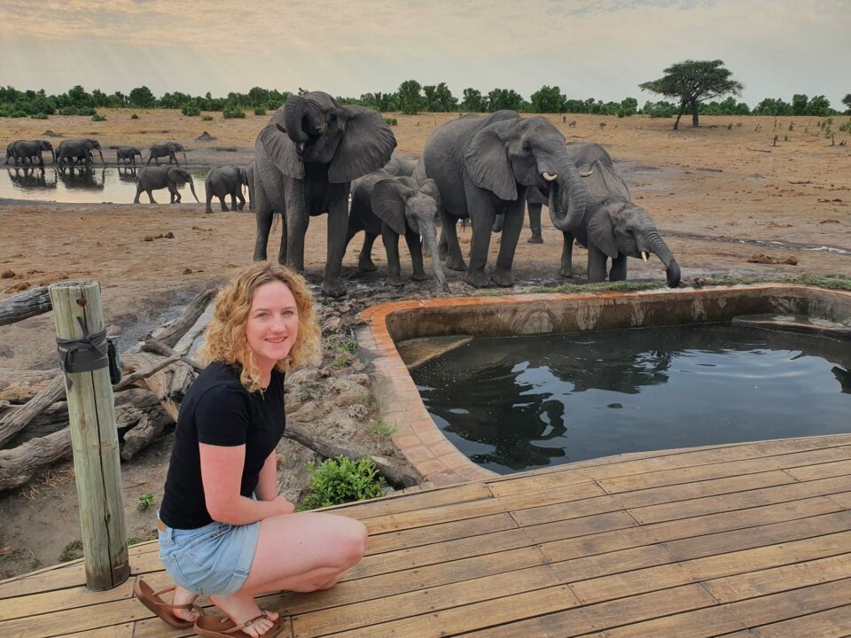 Elephants at Hwange National Park Zimbabwe with Amy Goldring