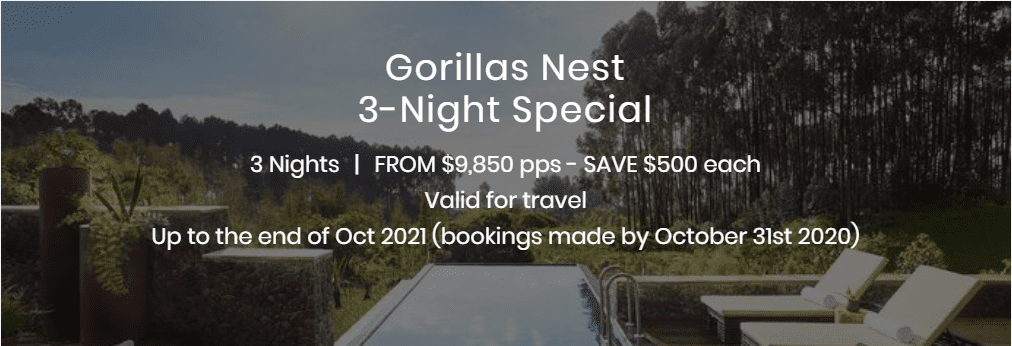 Gorillas Nest 3 Night Special Display