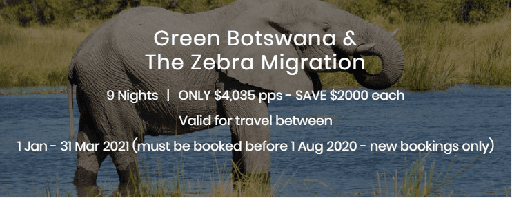 Green Botswana and The Zebra Migration