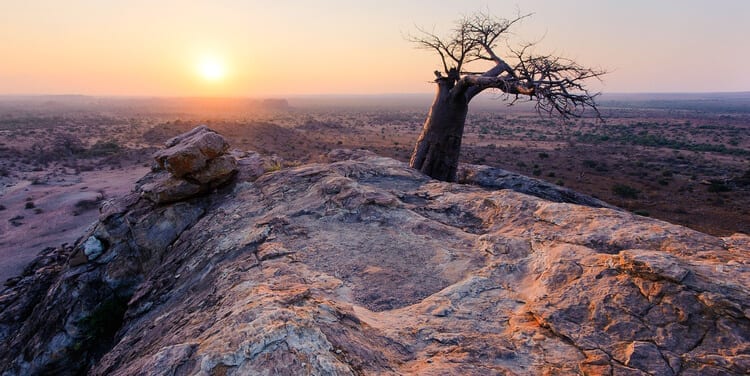 Mashatu Game Reserve Botswana – a candid review