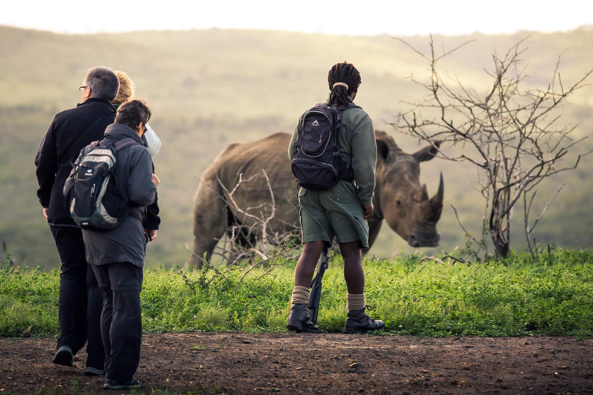Rhino Ridge Walking Safaris