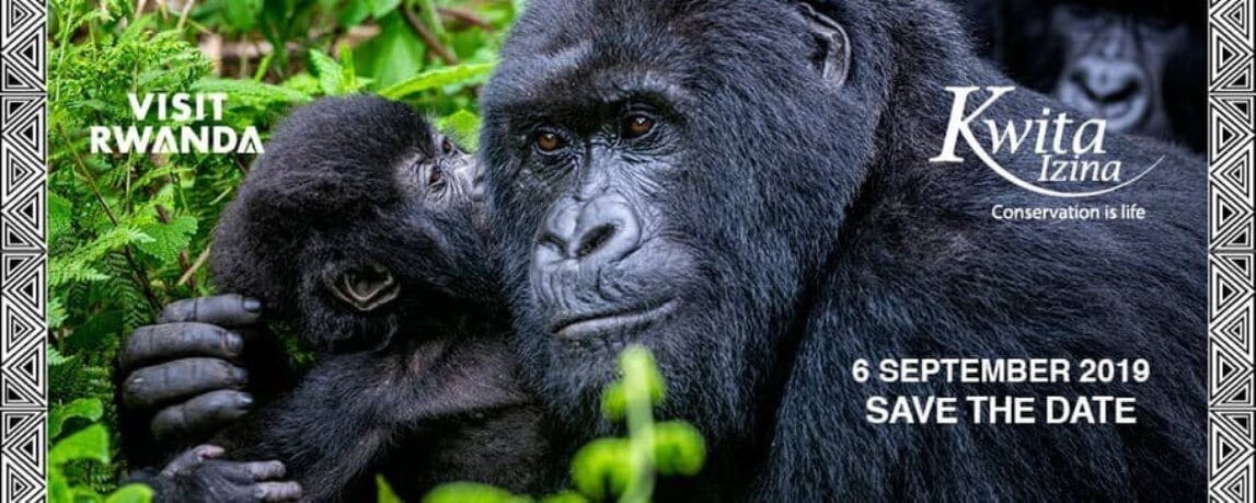 Rwanda Gorilla Naming Ceremony with Tailormade Africa