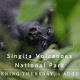Singita Volcanoes National Park Opening 1 August 2019
