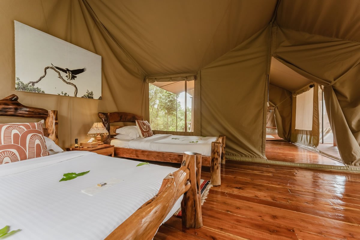 Tangulia Mara Camp Family Tent Twin