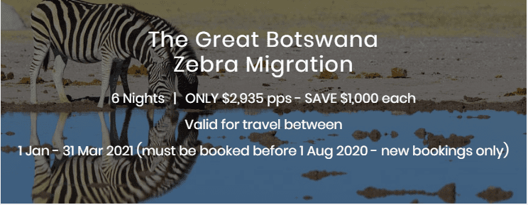 The Great Botswana Zebra Migration