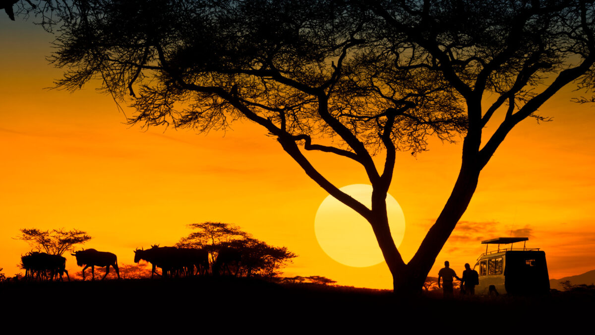 African safari trip