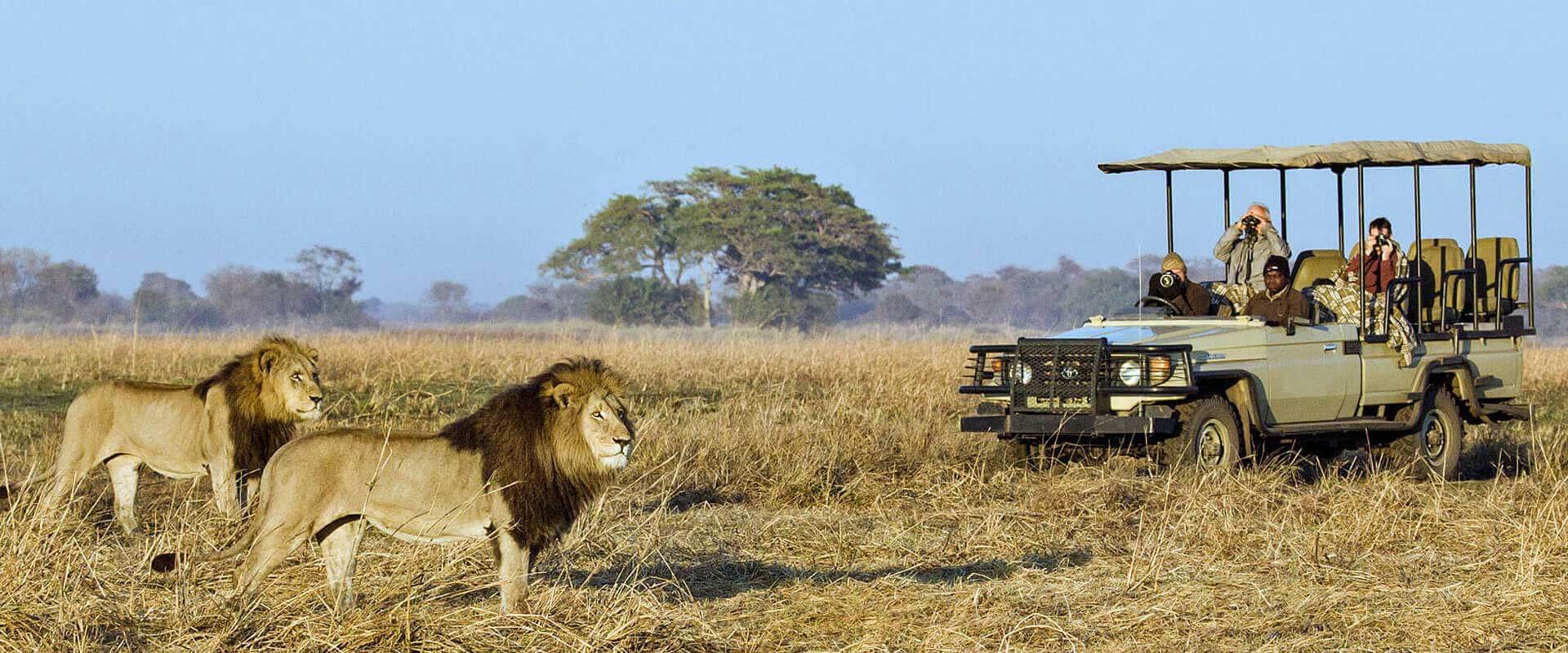 wilderness safaris game drive on an african safari holiday
